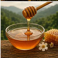 Forest Honey (மலைத்தேன்)